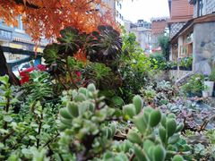 -四姑娘山阿巴郎·藏式花园餐厅