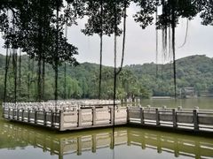 -西樵山风景名胜区-天湖公园