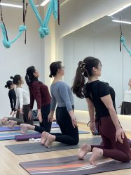 点击看大图 -玛尼瑜伽·普拉提