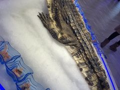 -澜悦港海鲜体验主题餐厅