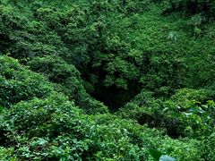 -海口火山口国家地质公园