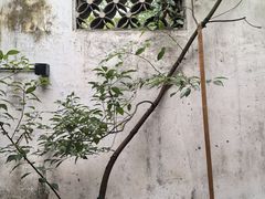 -院子餐厅·大锅菜·老杭帮(桥西直街店)
