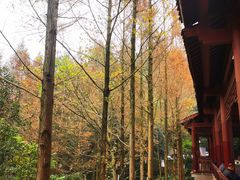 -重庆彩云湖湿地公园