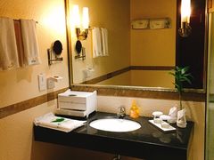 -雅安楠水阁温泉酒店