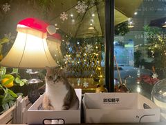 -咖法森林·咖啡  酒吧(天河店)