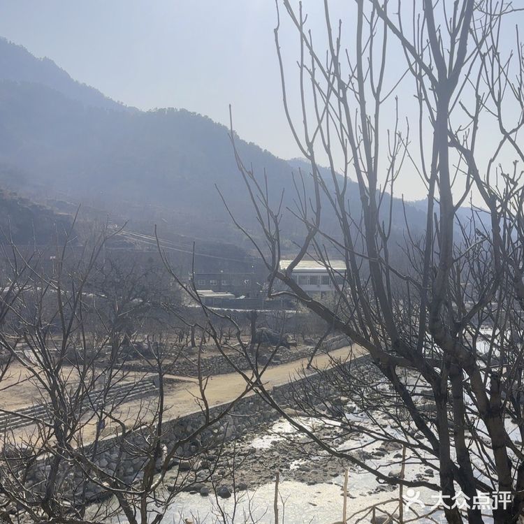 平邑李家石屋金线缘山庄绝绝子