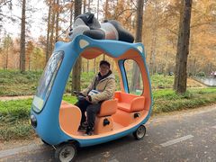 -黄海国家森林公园