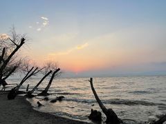 -捞渔河湿地公园