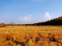 -塞罕坝国家级自然保护区