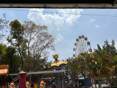 -广东花都香草世界旅游度假区