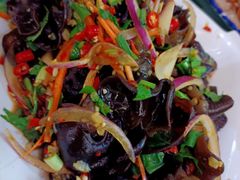 凉拌木耳-回辉登偰氏面片(东莲花美食街店)