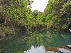 -石台牯牛降景区