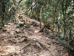 -梧桐山风景名胜区