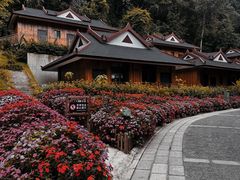 -野象谷景区