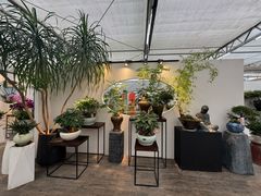 -荷兰花海