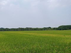 -嘉北郊野公园