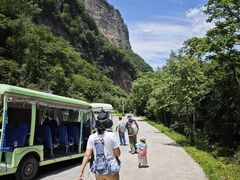 -青峰峡国家森林公园