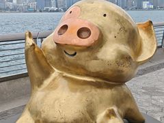 -星光大道