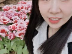 -石家庄市植物园