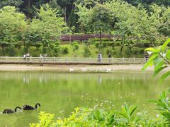 -广州市帽峰山景区