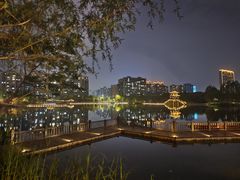 -洋湖国家湿地公园