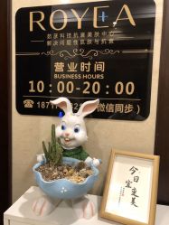 -ROYEA茹彦祛痘·问题肌肤修护中心