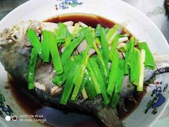 -天鹅到家·保姆月嫂育儿嫂(总店)