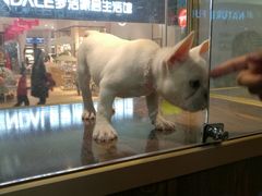 -乐宠宠物店(世纪金源店)