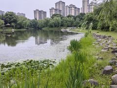 -桐乡植物园