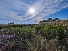 -野鸭湖国家湿地公园