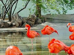 -石家庄市动物园