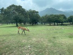 -西安秦岭野生动物园
