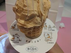 -野人先生现做冰淇淋(北京环宇荟店)