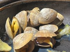 -火焰枪蛋·烧烤(奉天街店)