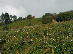 -驼梁风景区
