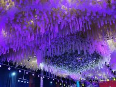 -东方御花园酒店