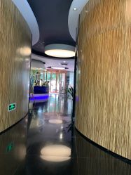 -比华利美容医院