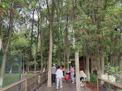 -艾溪湖湿地公园