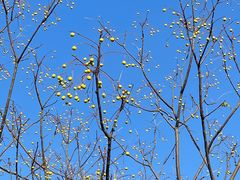 -白马涧龙池景区