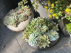 -思南公馆商业街