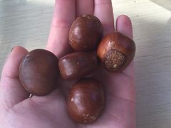 -黑孩油栗皇(南阳路店)