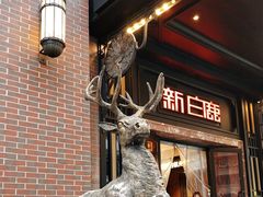 -新白鹿餐厅(龙游路店)