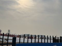 -金沙湖旅游度假区