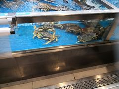 -盒马鲜生(大成店)