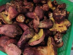 -山菌美食苑(振兴路店)