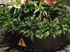 -大鸭梨烤鸭(枣园店)