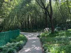 -黄兴公园