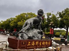 -上海野生动物园