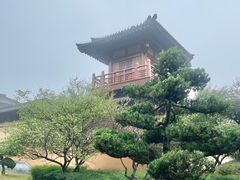 -习家池