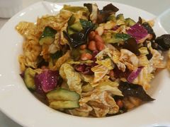 -陶然饺子城(奥体中路店)